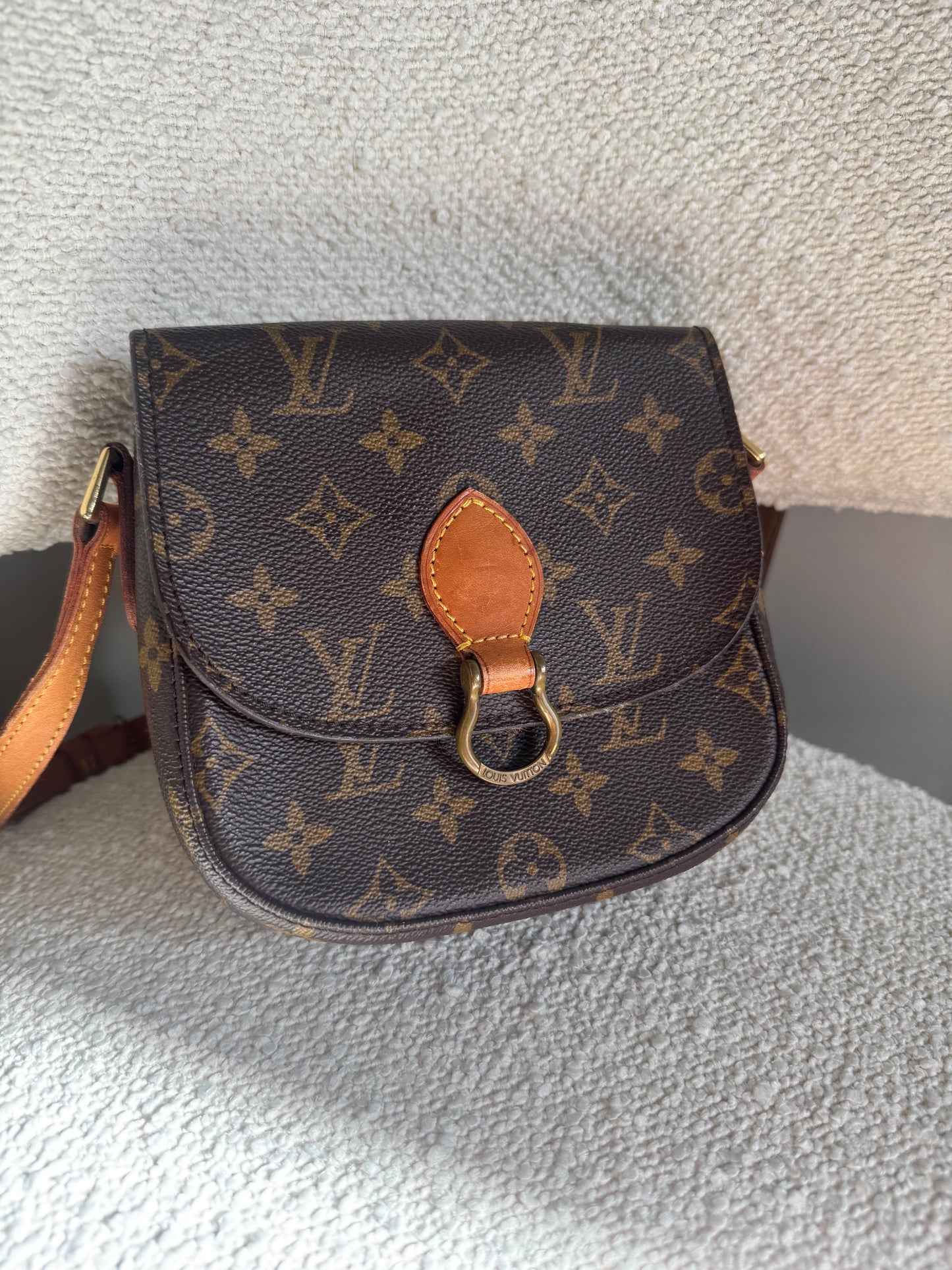 LOUIS VUITTON SAINT CLOTH PM