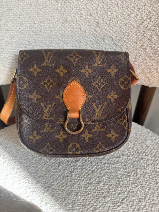 LOUIS VUITTON SAINT CLOTH PM