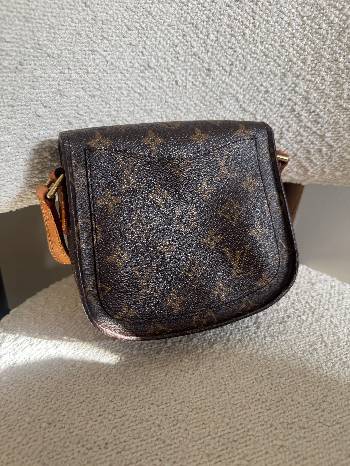 LOUIS VUITTON SAINT CLOTH PM