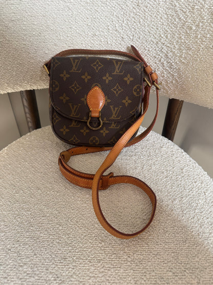 LOUIS VUITTON SAINT CLOTH PM