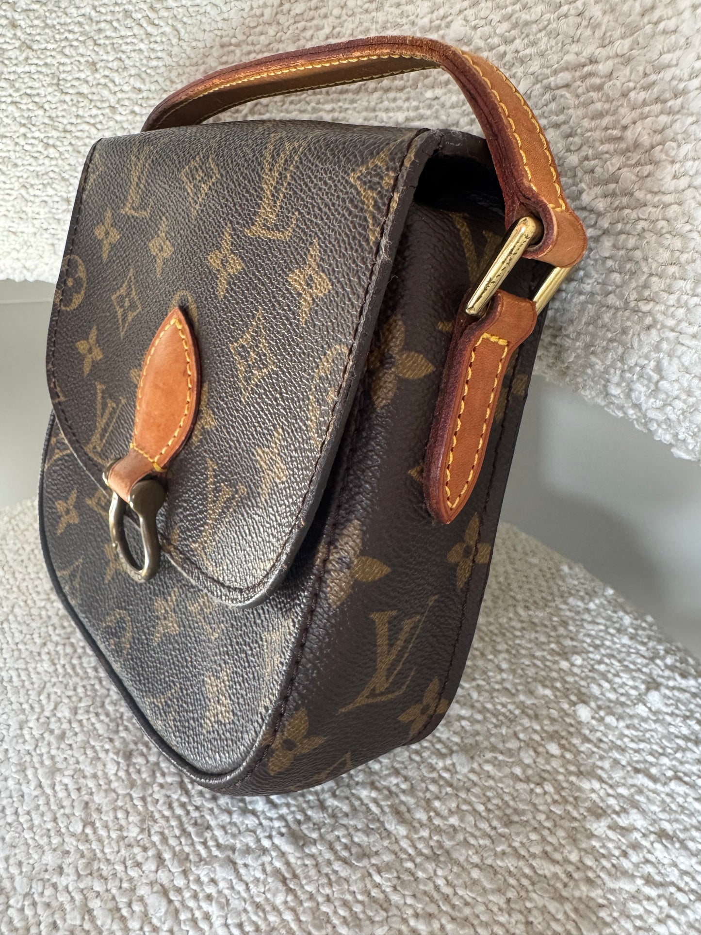 LOUIS VUITTON SAINT CLOTH PM