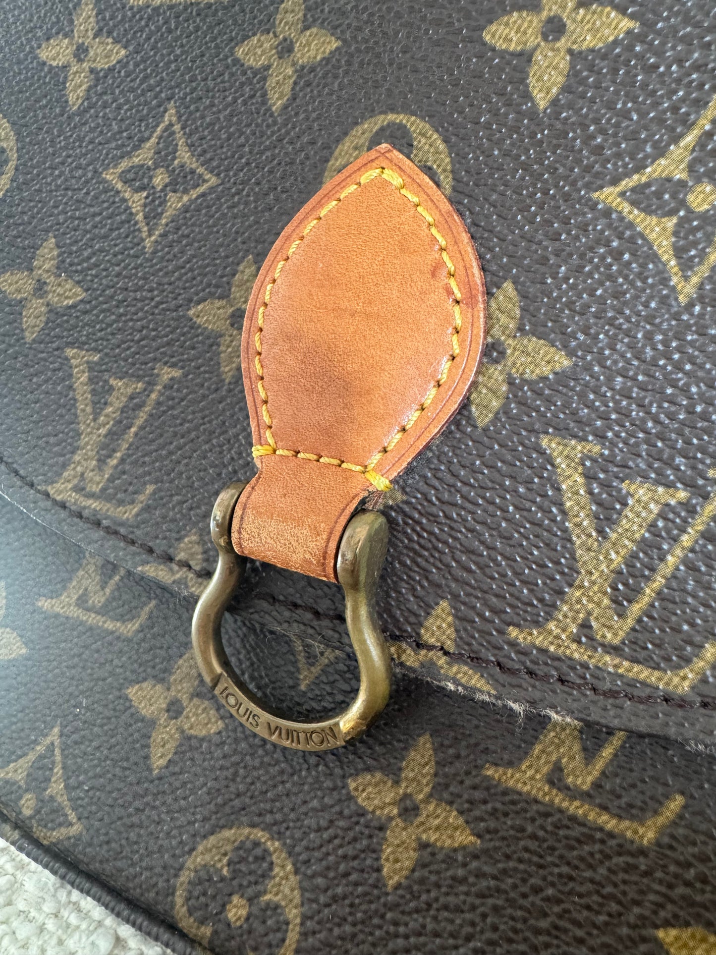 LOUIS VUITTON SAINT CLOTH PM